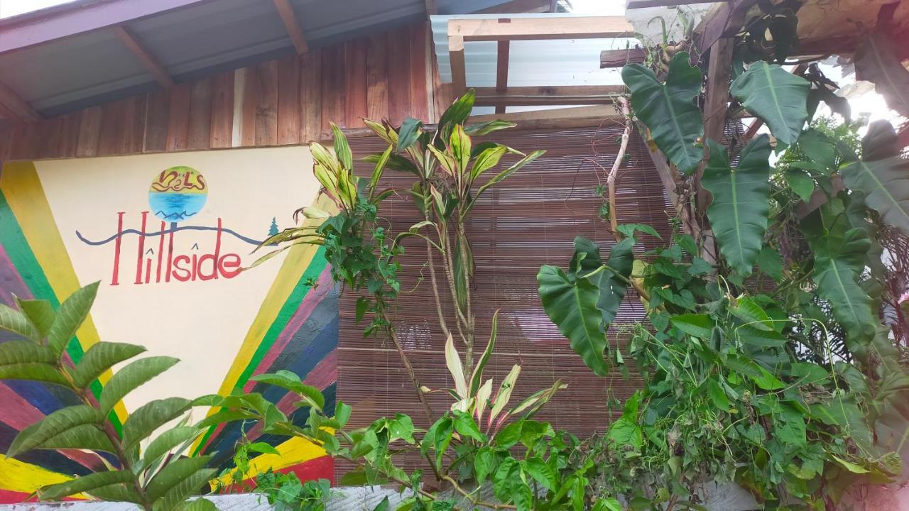 Mil'S Hillside Tourist Inn San Vicente  Zewnętrze zdjęcie
