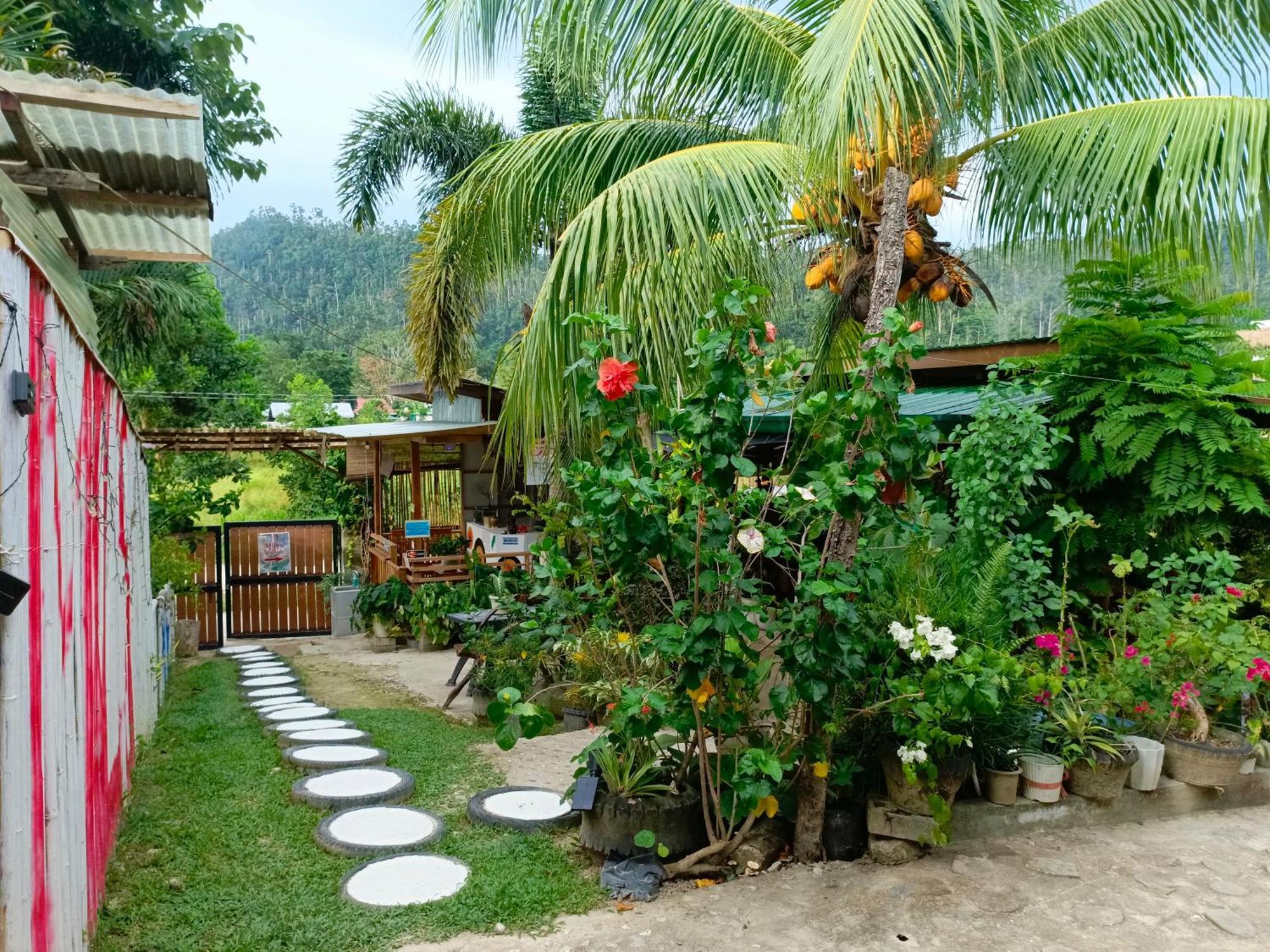 Mil'S Hillside Tourist Inn San Vicente  Zewnętrze zdjęcie